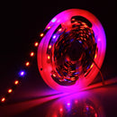 LED0455_7.jpg@097c81cbfd12ec1ed5a69385bfe04d7c