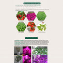 LED0468_13.jpg@908e87a15639949c870f8d044b04a676