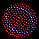 LED0546_9.jpg@910dc29eb039891516b004ebfa34c984