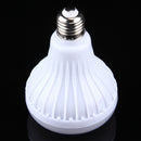 LED1569_3.jpg@2e081617b39eb5e7b3de6170c7218e1f