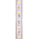 LED5664WL_3.jpg@65044bffd1b3e9c7062f9454b851ca23