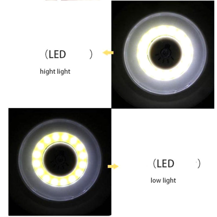 LED5992_6.jpg@3b2ef62333f68fd535ff58381ade40ae