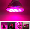 LED6173.jpg@28d7011703940015017acc7c5458207e