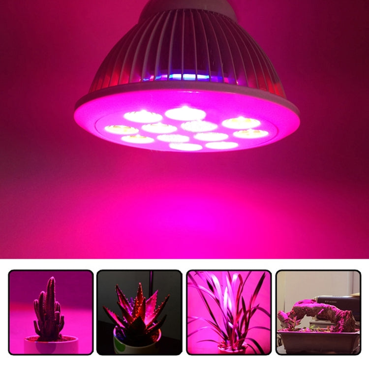 LED6173_7.jpg@28d7011703940015017acc7c5458207e