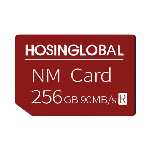 HOSINGLOBAL 90MB/s 256GB NM Card