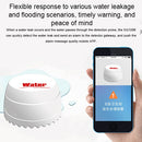 MDC0051W_8.jpg@9001bf96b465d6efaa8b84ca0675f36a