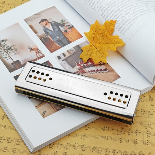 Swan SW24-12A 24-holes Double-sided Harmonica Beginner Polyphony Box Adult Children Beginners Performance