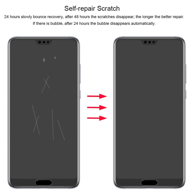 MPSG0317_4.jpg@7d4c8404b2a395cc386097ca45f93ebc