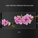 MPSG1013B_2.jpg@7a662961b2862435d32a1ea5d75dae0a