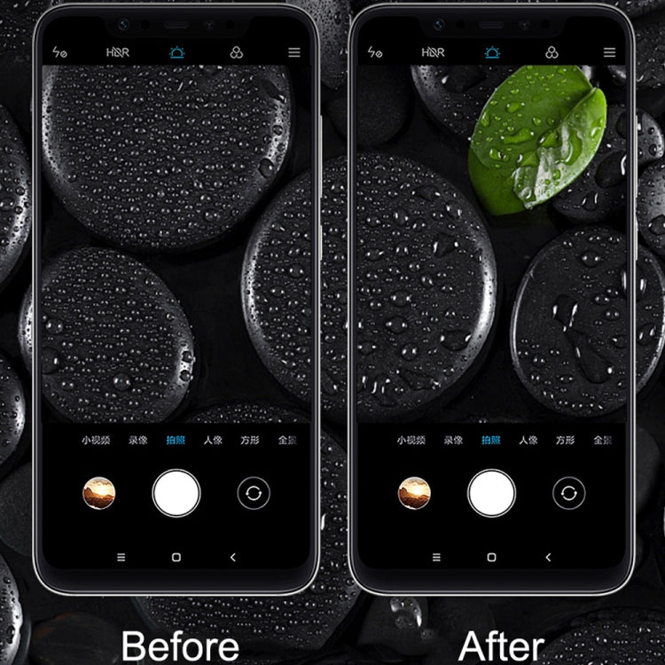 MPSG1094_3.jpg@3d441d3d6ed6cccd9e878a3d2fbfc468