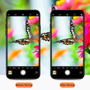 MPSG9607_5.jpg@edd423e6476b7320cff529db7c817d49