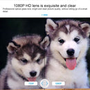 NC2907_9.jpg@5d17f717ca2988460c490ca9be79dcec