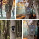 NC9047_6.jpg@c494a7d1b870bdea419c7df880e2506f