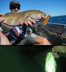 OG1139_4.jpg@caf35da63ff54e00d9b8eb032e336e69