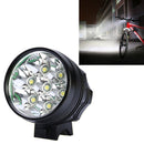 OG1547B.jpg@39264366157b8805e7df366e96da51fa