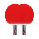 REGAIL 8020 2 in 1 Short Handle Penhold Ping Pong Racket + Ping Pong Ball Set for Training