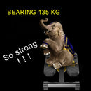 OG1673_9.jpg@e33296143d04b4a20877c52b8e263426