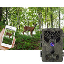 OG1767_4.jpg@cdb8c12ce668a6286a581f03b2930dcd