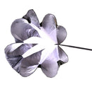 OG2177B_1.jpg@dc4361052c31246751c639cac8d5c1d7