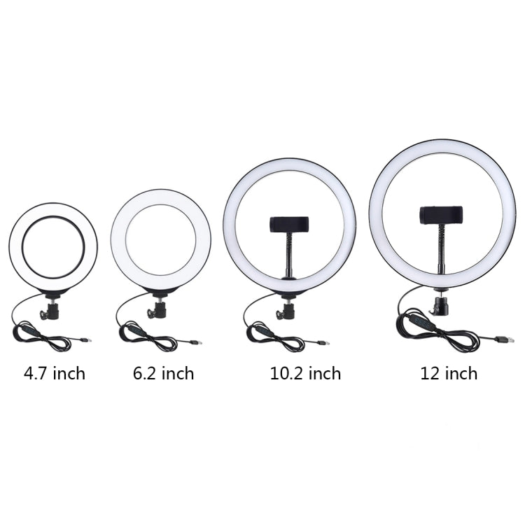 PKT3057B_10.jpg@07a378a0527676a8c68bf4d4aad3a980