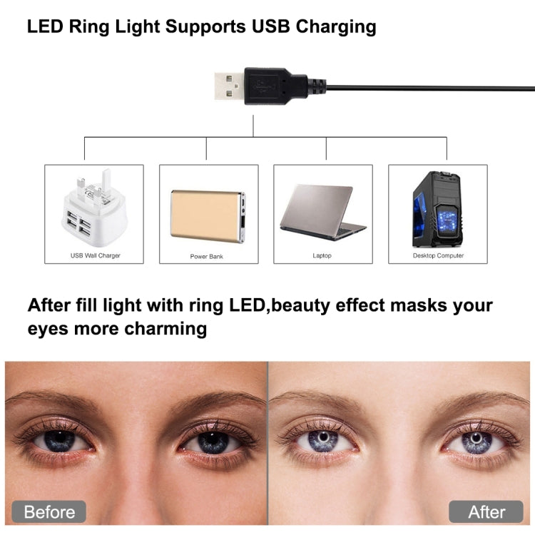 PKT3057B_5.jpg@53a71194a79df0a11ce3149e5f0436be