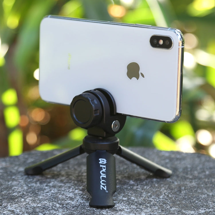 PKT43_12.jpg@6b75ef4d6d63541acdf6257164bddd91