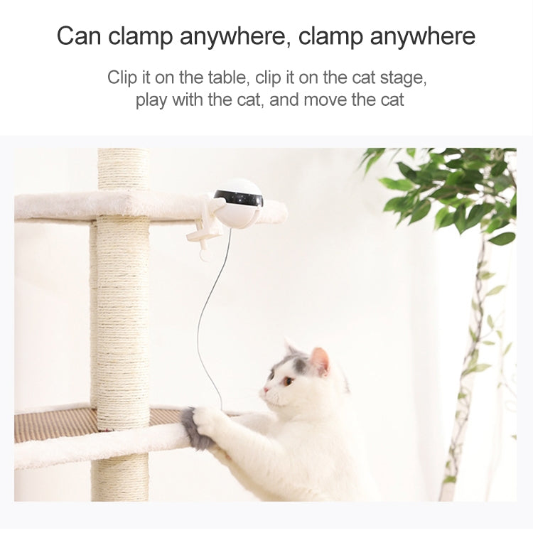 PSP0005_3.jpg@bff2d90b3476a1bcbdf5310ba32df52f