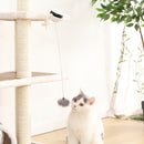 PSP0005_5.jpg@f3134b84c31fbf2ac8aa94f1eb94f4b0