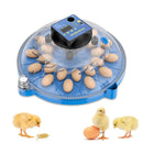 Egg Incubator Small Round Automatic Home Intelligent Chicken Tool Double Electric Hatcher, CN Plug, Specification: 24 PCS Fully Automatic