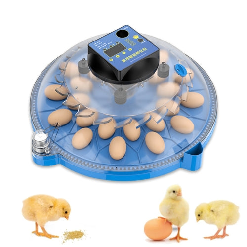 Egg Incubator Small Round Automatic Home Intelligent Chicken Tool Double Electric Hatcher, CN Plug, Specification: 24 PCS Fully Automatic