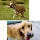 PU156_7.jpg@61e611931ea1b14129301ca1c26ddc6a