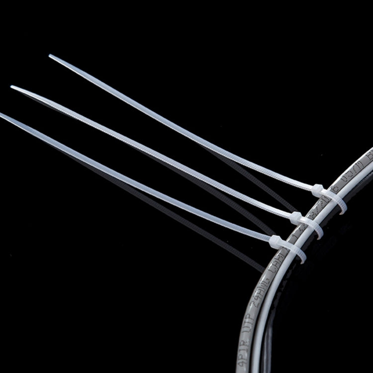 S-CMS-1901B_7.jpg@0037981e649a2378dd946bce5f20b0bd