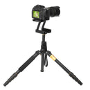 S-DCA-0450B_7.jpg@6927819dfa3fb942720a55779266bce2