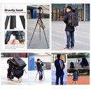 S-DCA-2305_10.jpg@3b71beb4e98daecad1fe6e68ca44d021