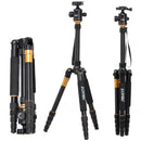 S-DCA-2305_2.jpg@80347230aa11b0959cfb31a2d9c84ea9