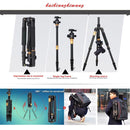 S-DCA-2305_9.jpg@4e7933934c236b1e0d62b6d51a1e84bd