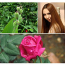 S-DCA-3240_7.jpg@9bd70bd5d2135781d068b6cdae530526