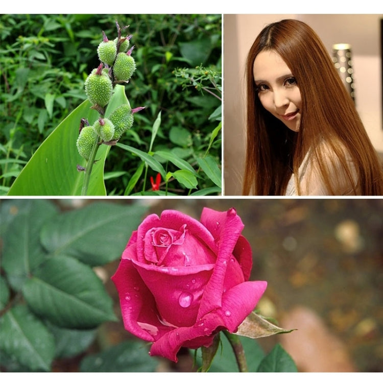 S-DCA-3240_7.jpg@9bd70bd5d2135781d068b6cdae530526