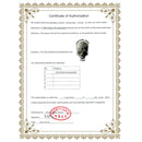 S-DLP-0730_B2.jpg@b6b9d3cb1fe1f85814f2e6fce3fa7f5e