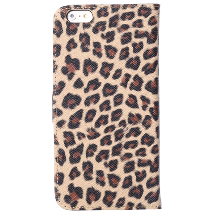 S-IP6P-0012_3.jpg@7ed66346eb19ccb281d01c298ba3365e