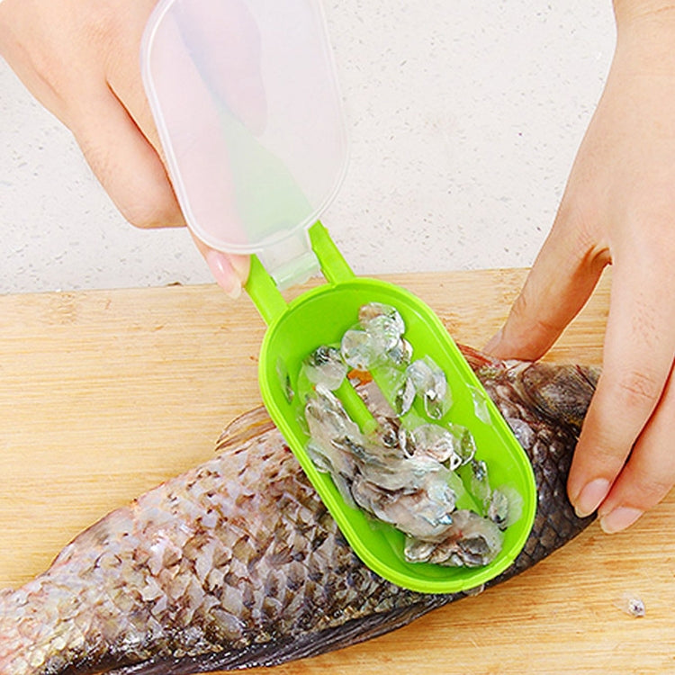 S-KA-0253.jpg@2d64a929b64222e92c3394fc8eb07ccd