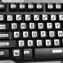 S-KB-0901_6.jpg@3cc392a42c4f9c107e4a3a12c457799e