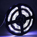 S-LED-3683_3.jpg@c041dd7d31373d8c15abb44be0d2ff56