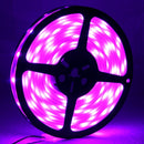 S-LED-3691_5.jpg@87588dfb75a68e479fcc545c18204486