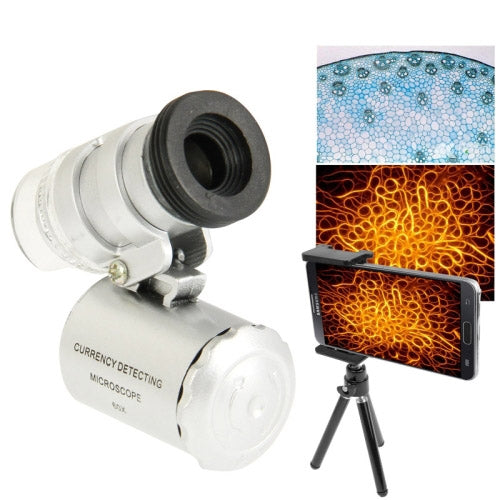 S-SCS-2341.jpg@4cc5d6792c96bfdf89551d2336d114c8