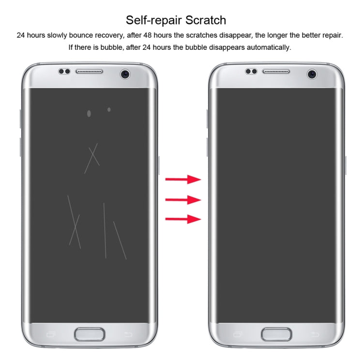 SAS1734_4.jpg@46e69df1efc964fca41202694be70329