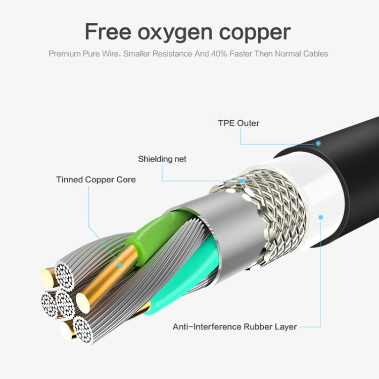 SAS2398_4.jpg@bea988fd2586fb0077ca95a425ac25e3