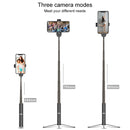 SAS5081_9.jpg@2c87fb2ca8bf215d5da53d3a6bb96419