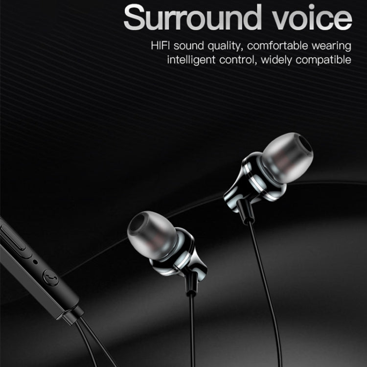 SAS5478_4.jpg@c9ee0555805919e0391da9c00d054a47