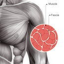 SHC0030B_9.jpg@819481f319f22bf332ec4edc9f16a51e